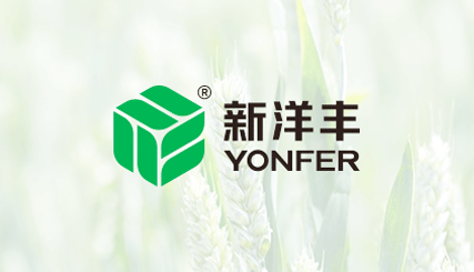 媒体聚焦-新闻动态-菠菜担保网