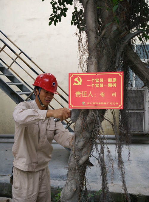 菠菜担保网-最权威的全网担保平台