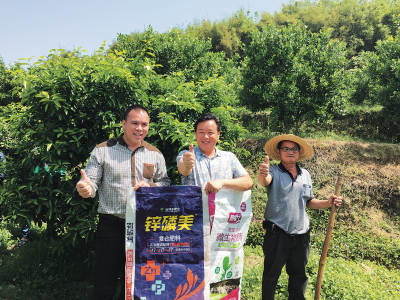 菠菜担保网-最权威的全网担保平台