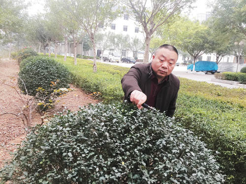 菠菜担保网-最权威的全网担保平台