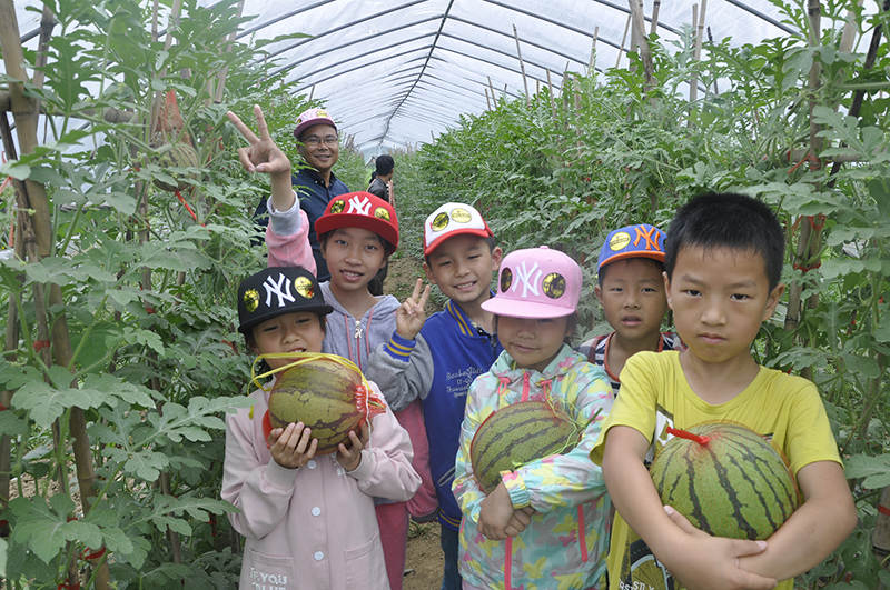 菠菜担保网-最权威的全网担保平台