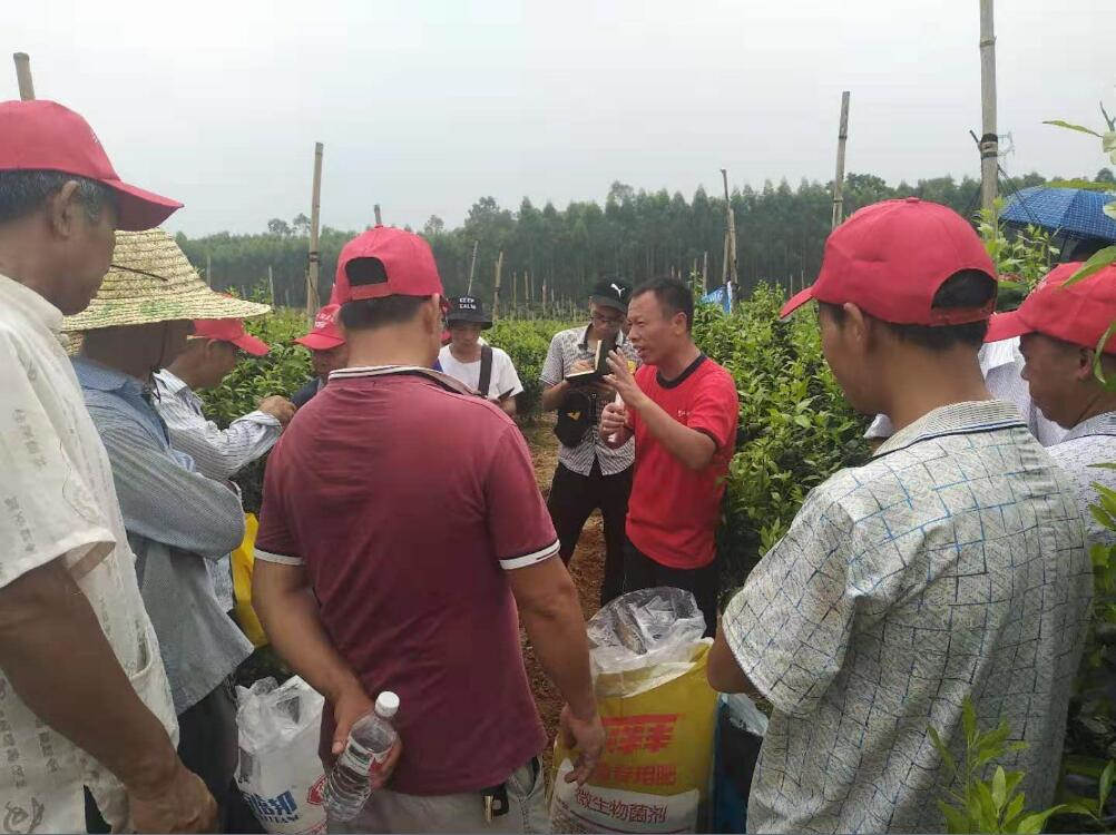 菠菜担保网农学堂：新农化，，，心折务，，，赢未来-新闻动态-菠菜担保网