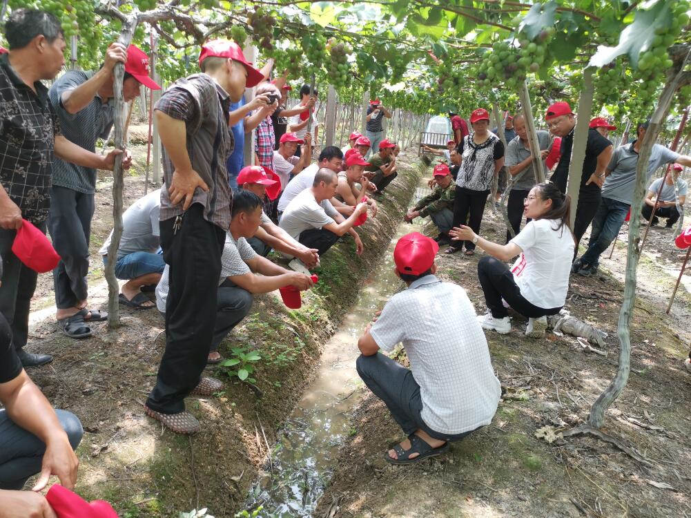 菠菜担保网农学堂：新农化，，，心折务，，，赢未来-新闻动态-菠菜担保网