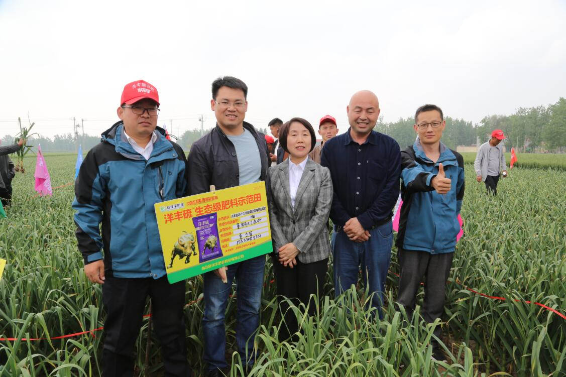 菠菜担保网农学堂：新农化，，，心折务，，，赢未来-新闻动态-菠菜担保网