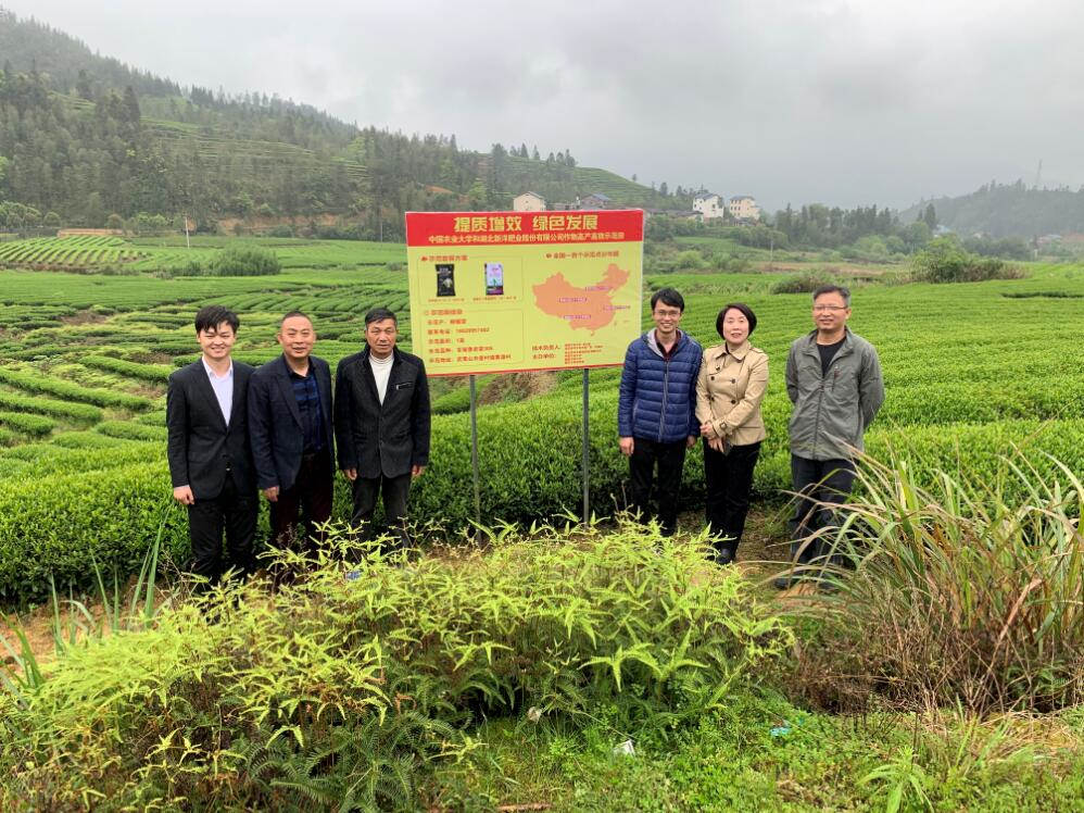 菠菜担保网农学堂：新农化，，，心折务，，，赢未来-新闻动态-菠菜担保网