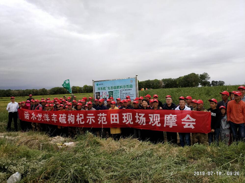 菠菜担保网农学堂：新农化，，，心折务，，，赢未来-新闻动态-菠菜担保网
