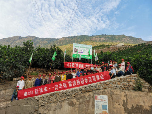 新华网：菠菜担保网脐橙施肥套餐 助力脐橙优质增产-新闻动态-菠菜担保网