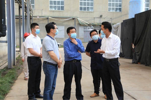 荆门市副市长胡小国调研菠菜担保网磷石膏综合使用项目-新闻动态-菠菜担保网