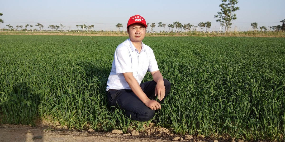 切合袁隆平“门规”的他们都去了那里？？？？？-新闻动态-菠菜担保网