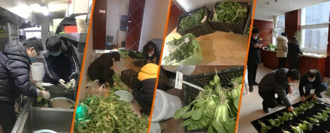 菠菜担保网-最权威的全网担保平台
