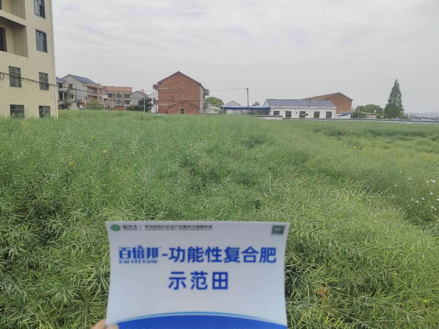 特大喜讯！菠菜担保网1项产学研科技相助效果荣获湖北省科技前进一等奖-新闻动态-菠菜担保网