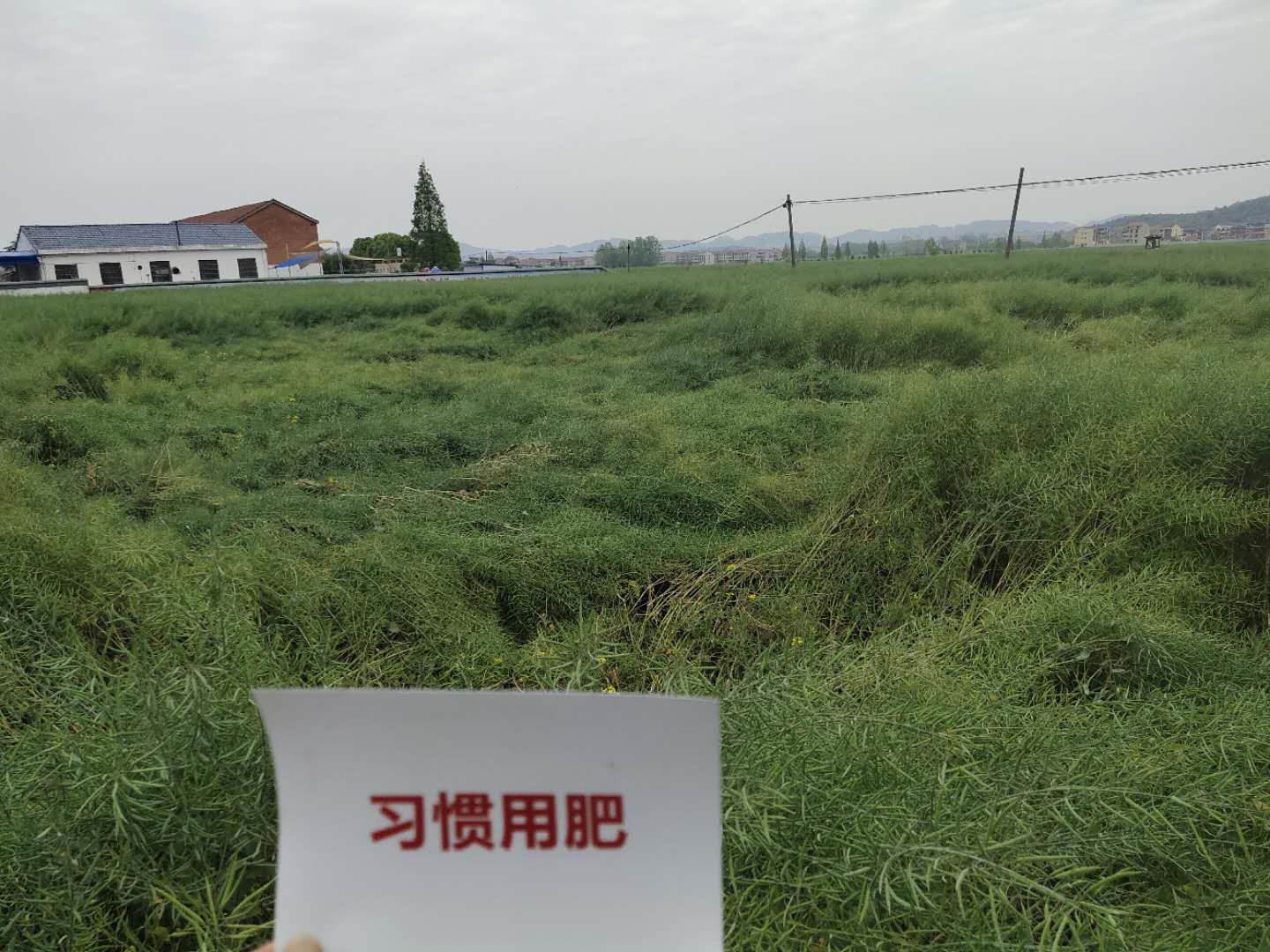 特大喜讯！菠菜担保网1项产学研科技相助效果荣获湖北省科技前进一等奖-新闻动态-菠菜担保网