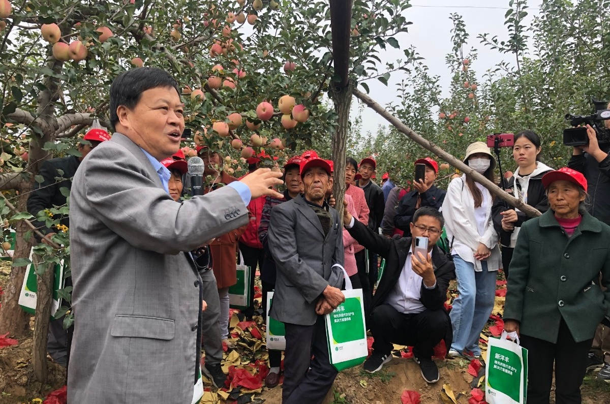 苹果王，，，，他来啦！-新闻动态-菠菜担保网