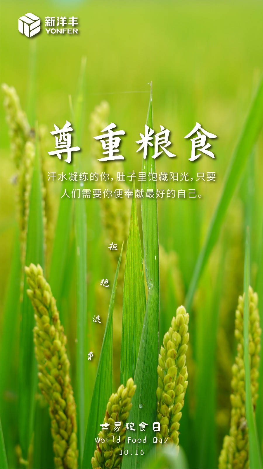 天下粮食日 | 与菠菜担保网一起共筑天下粮安！-新闻动态-菠菜担保网