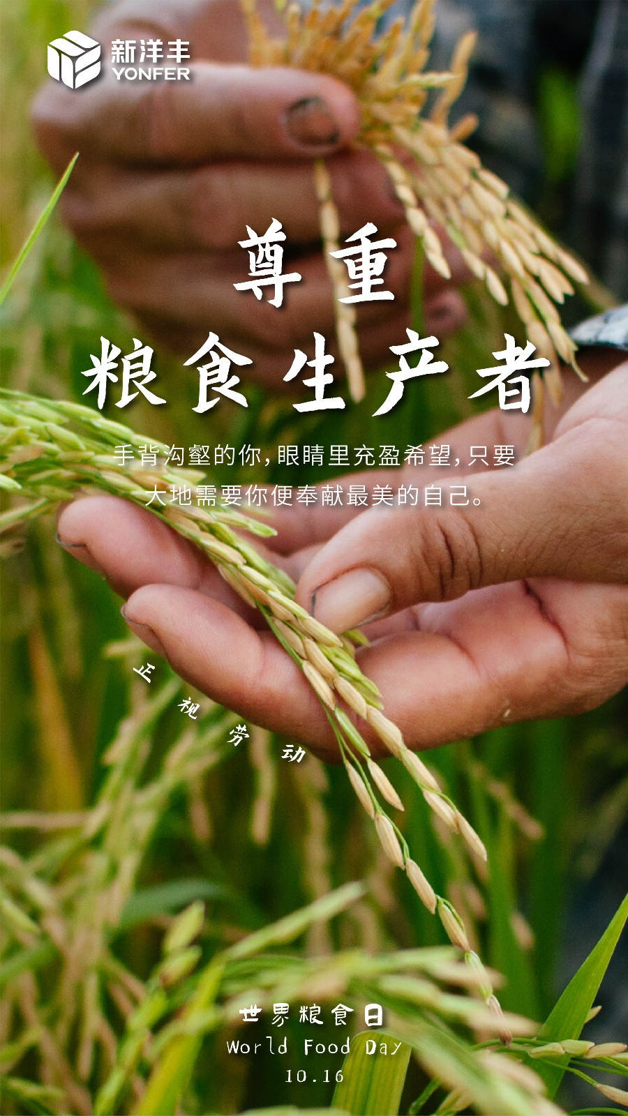 天下粮食日 | 与菠菜担保网一起共筑天下粮安！-新闻动态-菠菜担保网