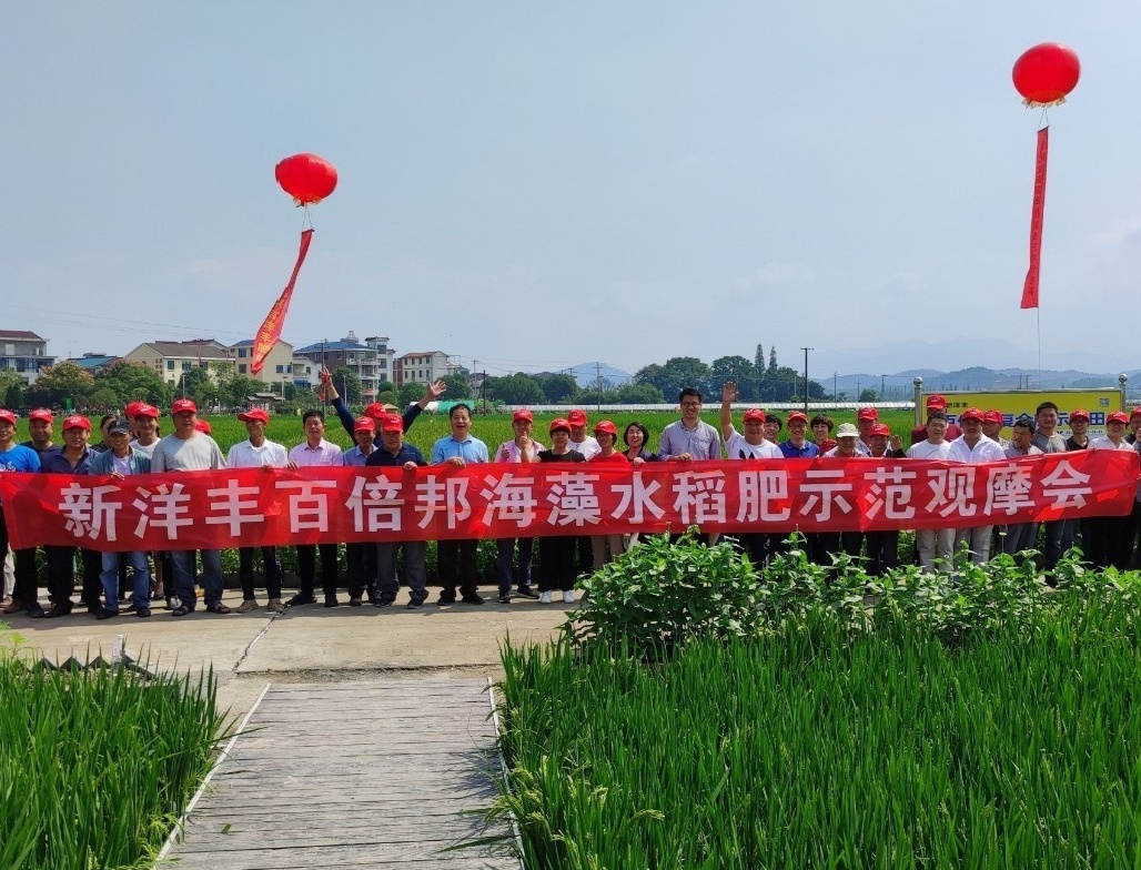 天下粮食日 | “大国粮仓守护者”的故事-新闻动态-菠菜担保网