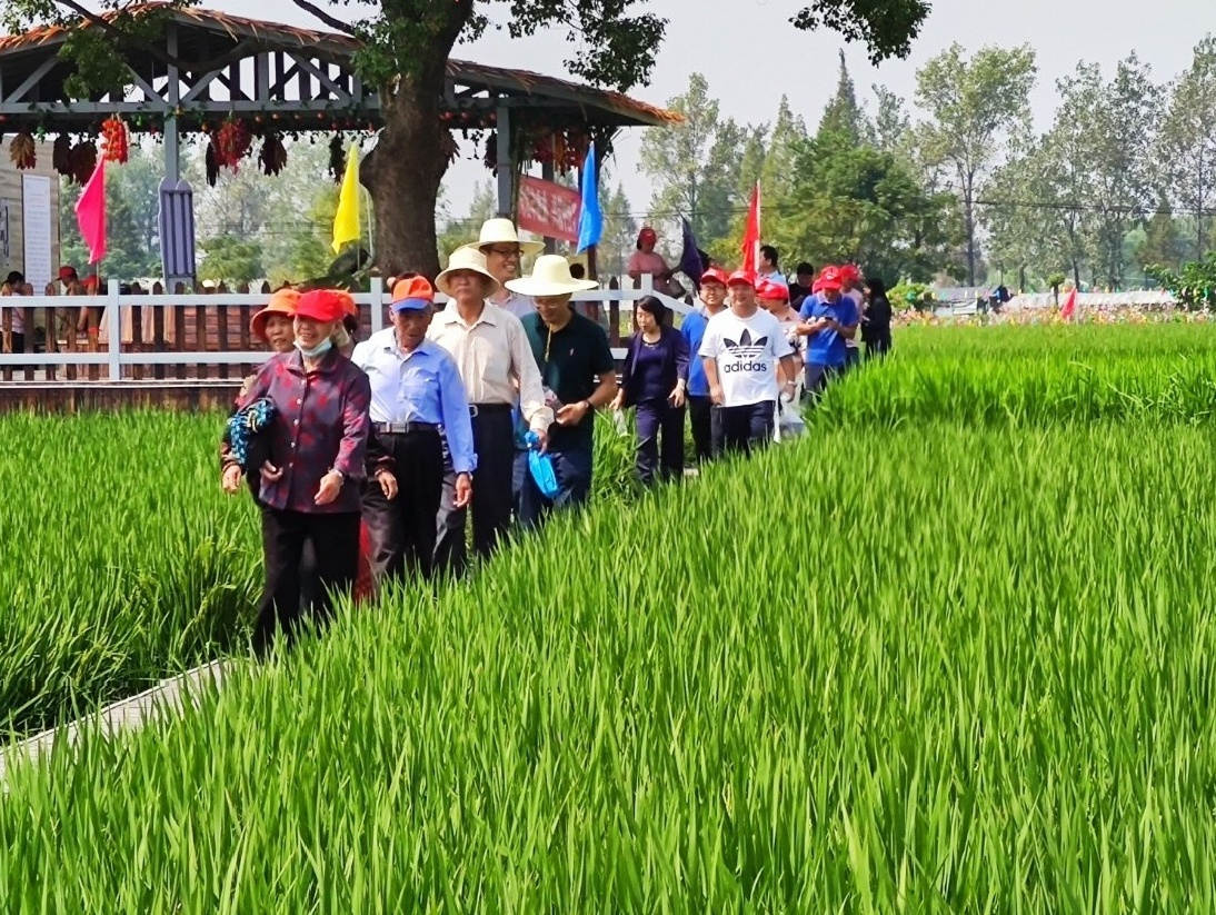 天下粮食日 | “大国粮仓守护者”的故事-新闻动态-菠菜担保网
