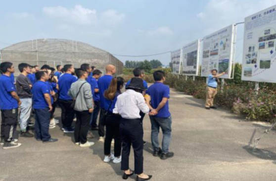 五维审核加持，，，，，看菠菜担保网怎样炼金“专属农艺师”！-新闻动态-菠菜担保网