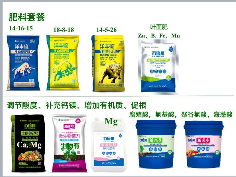 赣南脐橙王，，，，，他来啦！-新闻动态-菠菜担保网