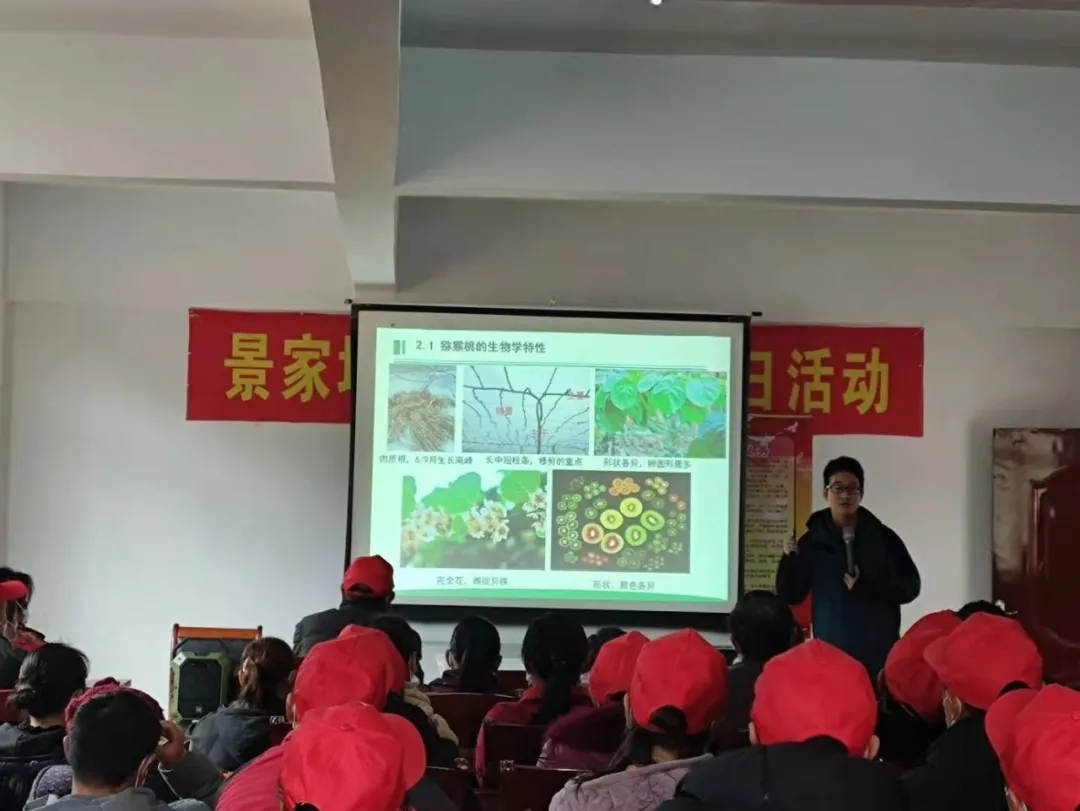 菠菜担保网送手艺到地头，，助力景家坪工业振兴-新闻动态-菠菜担保网