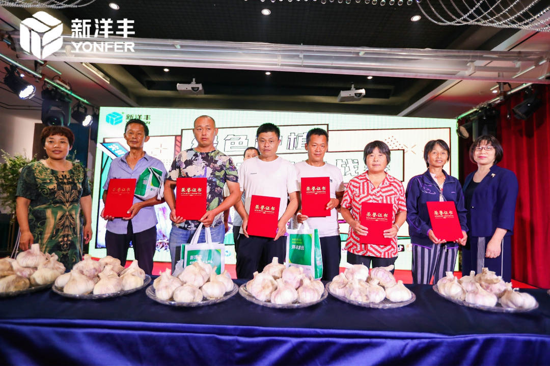 大蒜王，，，，，他来啦！-新闻动态-菠菜担保网