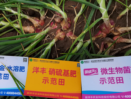 菠菜担保网-最权威的全网担保平台