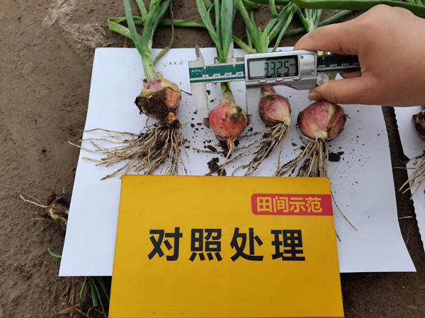 菠菜担保网-最权威的全网担保平台