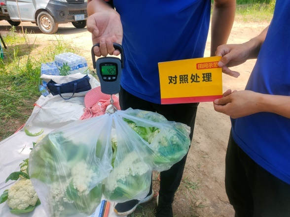 菠菜担保网-最权威的全网担保平台