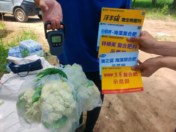 菠菜担保网-最权威的全网担保平台