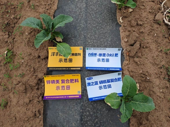 菠菜担保网-最权威的全网担保平台