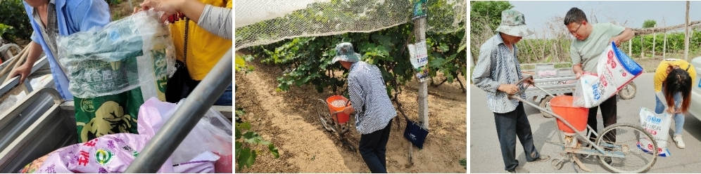 5月份，，，，，，手艺员跟踪指导施肥.jpg