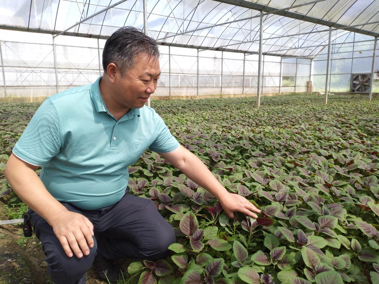 邱泽林：营销战线 常胜将军-员工风范-企业文化-菠菜担保网
