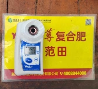树模葡萄肩部果糖度比比照高0.6度 1.jpg