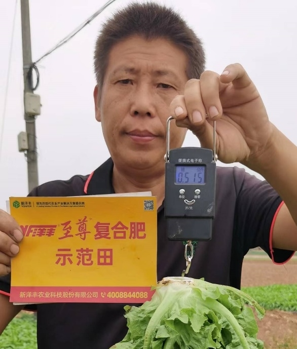 菠菜担保网-最权威的全网担保平台