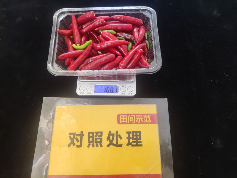 9月26日比照整株鲜果重：168.1g，，，亩产336kg_副本.jpg